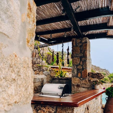 Villa Dimilia Mykonos Town Εξωτερικό φωτογραφία